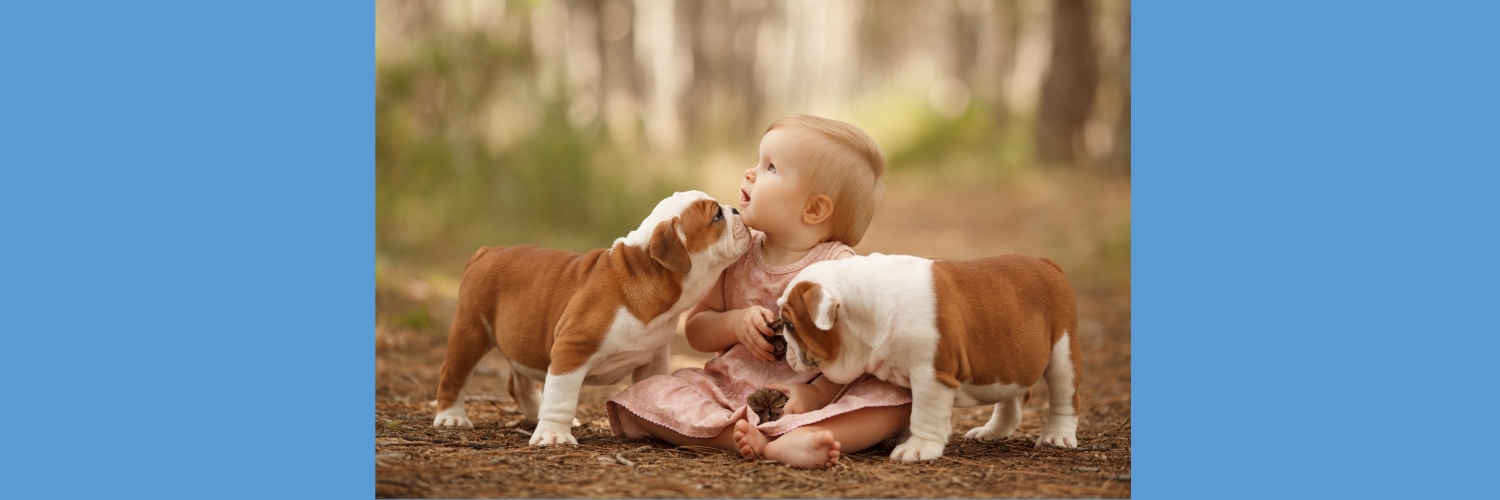 Heather Briggs professional dog breeder puppies