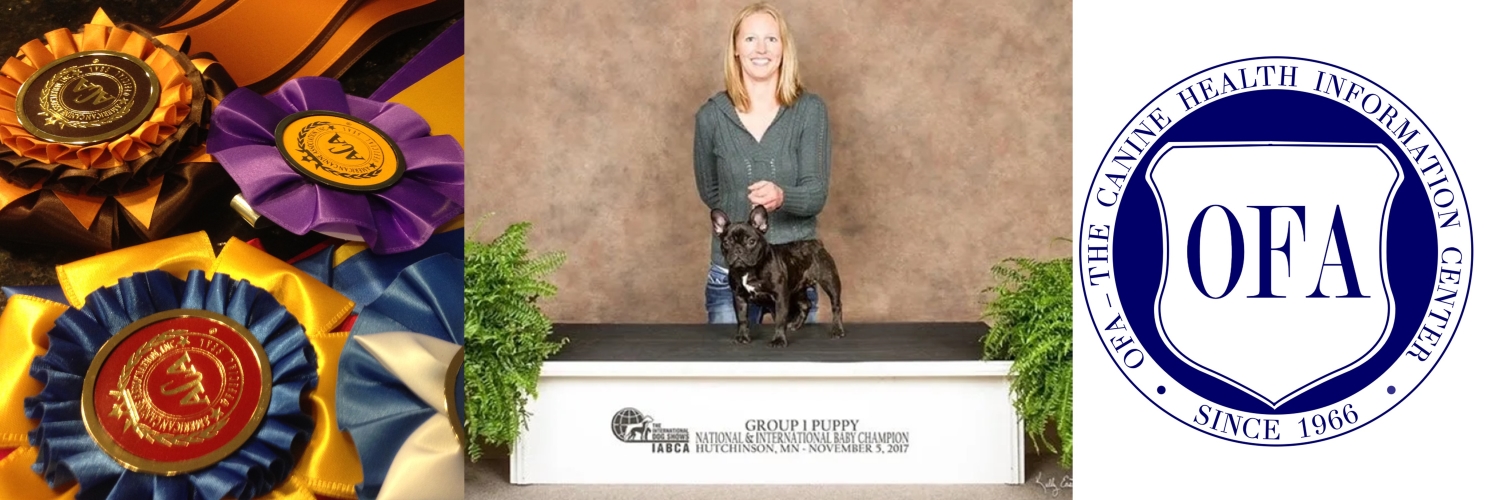 Heather Briggs professional dog breeder Welcome